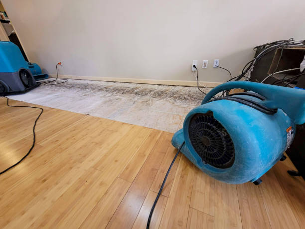 Professional Sewage Cleanup technician working in Blackwood, NJ